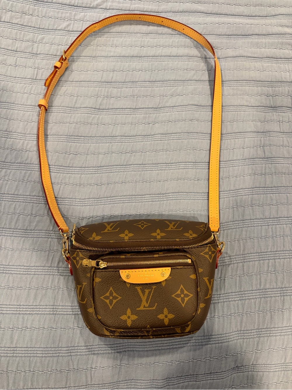 Louis Vuitton Monogram Mini Bumbag - Picture 13 of 13